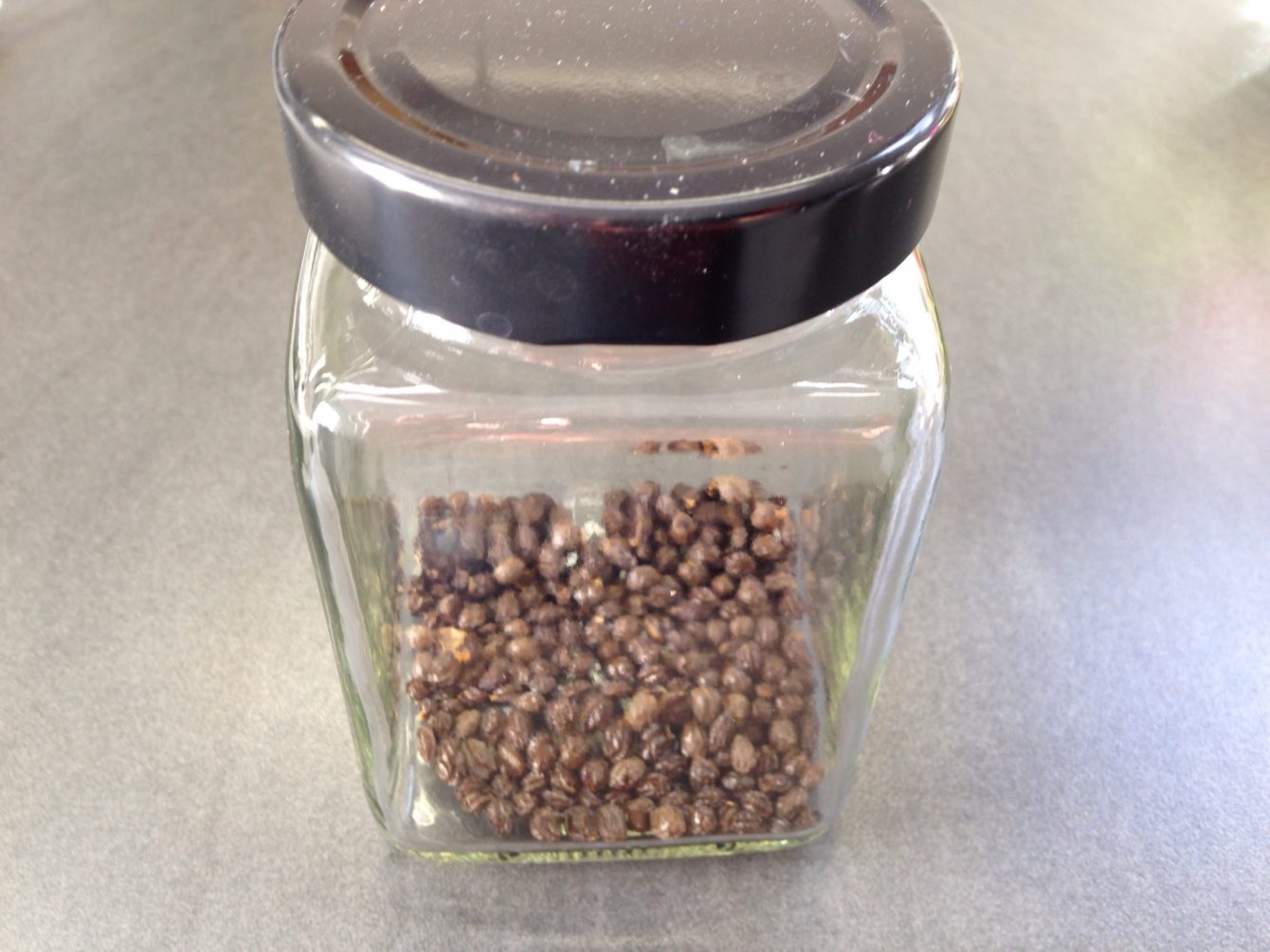 Papayakerne getrocknet im Glas