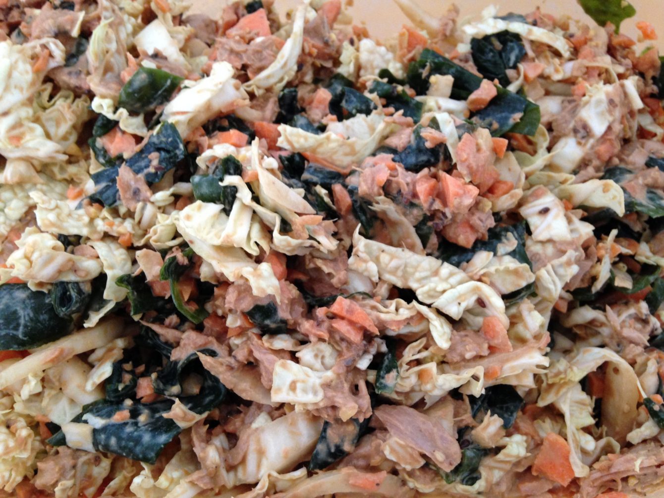 Chinakohl, Thunfisch, Karotten, Wakame Algen Salat mit Sesam Tahine Miso Dressing