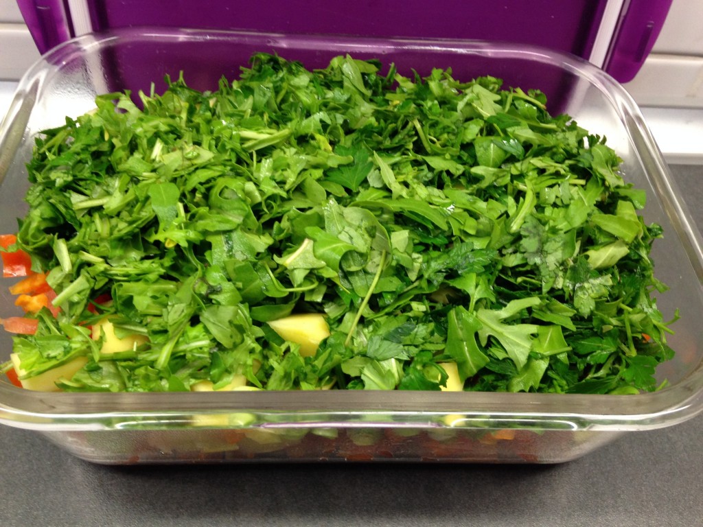 Paprika Tomaten Salat mit Mango, Ananas und Koriander