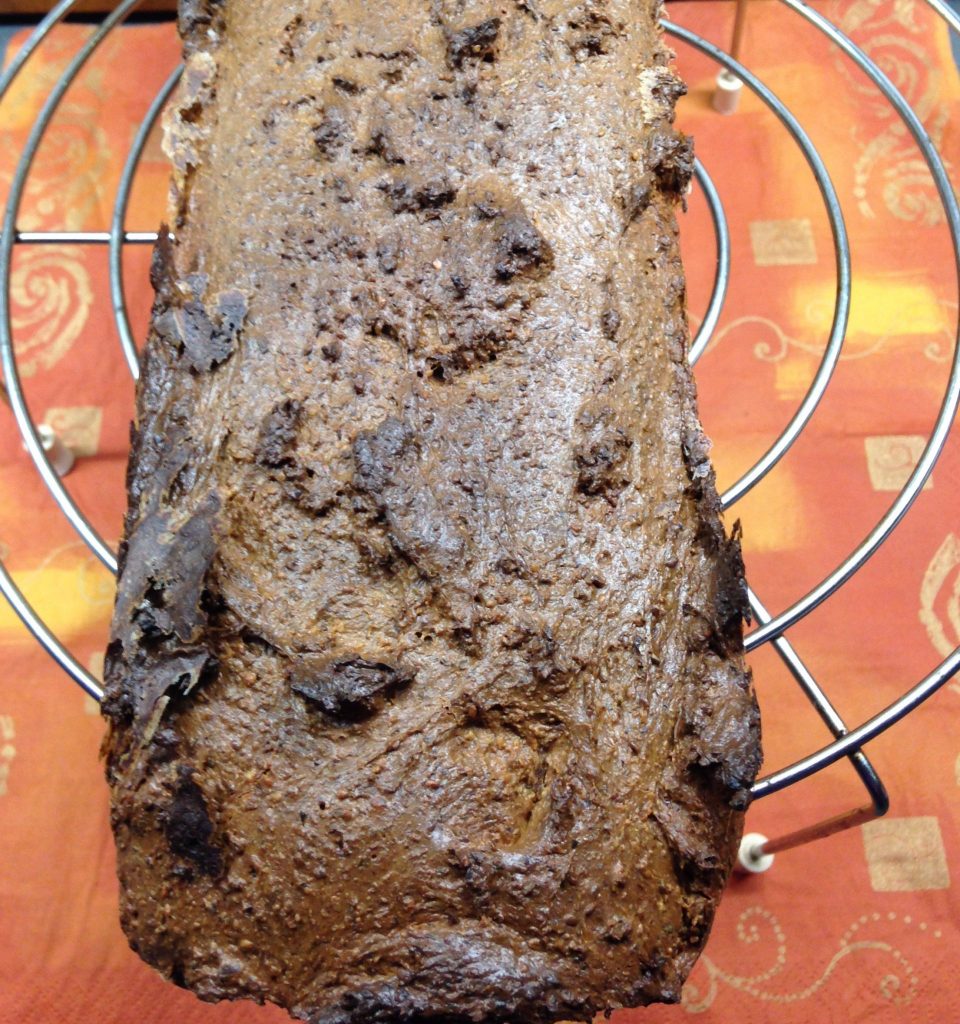 Mandelbrot mit Quark