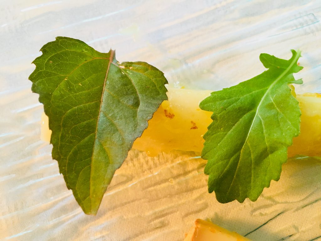 Spargel mit Yuzu Konfit, Wasabi Rucola und Prickelkopf